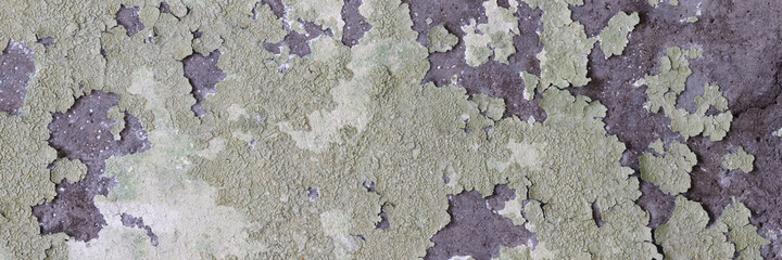 Peeling paint on the wall. Panorama of a concrete wall with old cracked flaking paint. Weathered rough painted surface with patterns of cracks and peeling. Wide panoramic texture for grunge background