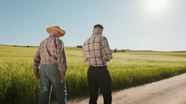 Two Farmers Are Walking By The Field And Talking Emotionally. They Are Pointing Their Hands And Smiling. Wheat Field In The Background. Shooting From Behind. 4K