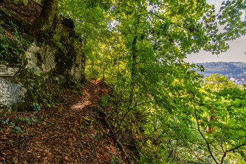 Fototapeta na wymiar Wonderful autumn hike near Beuron in the Upper Danube Nature Park