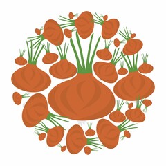 Unpeeled onions in circle. Vector flat design template. Background of food, farm, gardening or horticulture. - 463766507