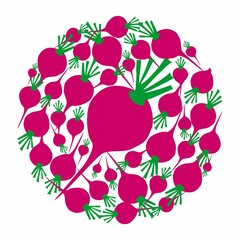 Red radishes in circle. Vector flat design template. Background of food, farm, gardening or horticulture. - 463766508