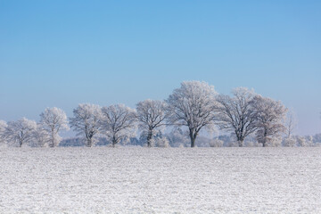 Winter Idyll In The North Of Germany