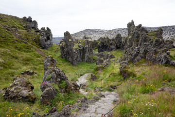 Old lava field covered with green moss