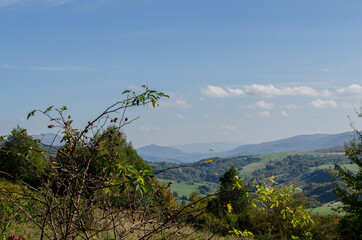 Obraz premium Panorama z Połoniny Wetlińskiej Bieszczady 