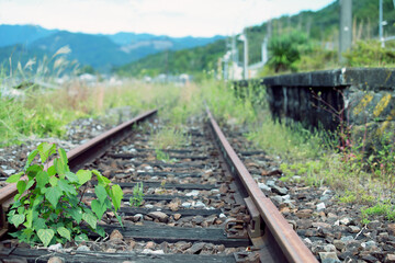 Fototapeta premium 災害や赤字によって廃線になった線路