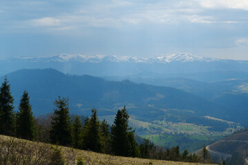 View of Carpathian Mountains in Ukraine, Polonina Borzhava