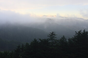 low cloud, mist and fog in the mountains. Northern California.