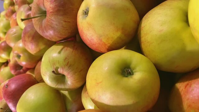 The ripe apples on the fresh section of the grocery store as seen on a closer look.vertical format video.9:16