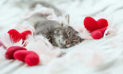 cute cat lies on a white bed and sleeps with his paws outstretched, surrounded by red hearts and...