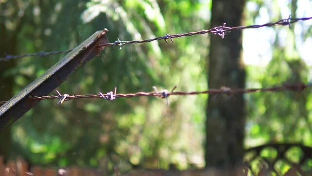 Barbed wire in 4k slow motion 60fps