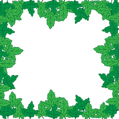 Fototapeta premium nature background. blank space design template. green leaf illustration. hand drawn vector. beautiful leaves. doodle art for wallpaper, poster, banner, greeting and invitation card, postcard, cover.