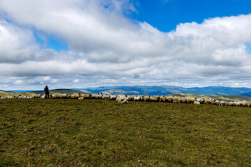 Romanian herder in the carpathian	
