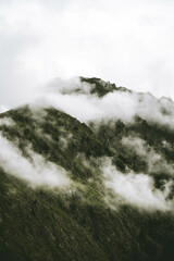 Obraz premium Nuage et forêt.