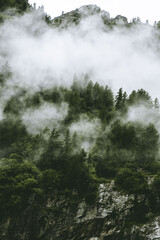 Chorégraphie des nuages sur la forêt.