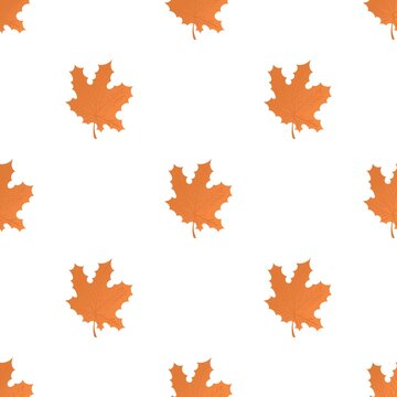 Maple leaf pattern seamless background texture repeat wallpaper geometric vector