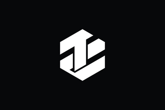 ZT logo letter design on luxury background. TZ logo monogram initials letter concept. ZT icon logo design. TZ elegant and Professional letter icon design on black background. Z T TZ ZT