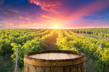 Red wine with barrel on vineyard in green Tuscany, Italy