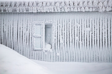 magic winter landscape with snowy fir trees
