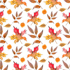 Autumn watercolor seamless pattern, various colorful leaves on a white background. 