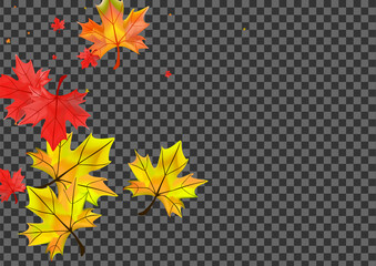 Orange Floral Background Transparent Vector. Foliage November Card. Red Down Leaf. Seasonal Leaves Design.