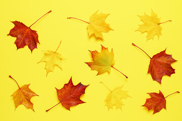 Autumn background with colorful maple leaves on yellow. Abstract seasonal pattern.