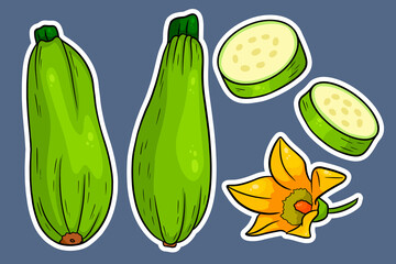 Zucchini set. Fresh sliced zucchini and flower.