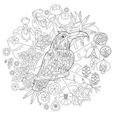 Cute bird toucan in jungle. Doodle style, black and white background. Funny animal, coloring book pages. Hand drawn illustration in zentangle style for children and adults, tattoo. © Anna Tyukhmeneva