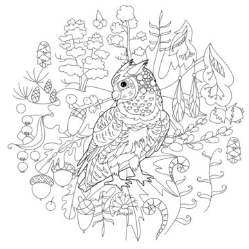 Cute bird owl in forest. Doodle style, black and white background. Funny animal, coloring book pages. Hand drawn illustration in zentangle style for children and adults, tattoo.