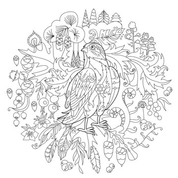Cute bird owl in forest. Doodle style, black and white background. Funny animal, coloring book pages. Hand drawn illustration in zentangle style for children and adults, tattoo.