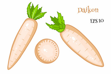Daikon set. Fresh daikon and sliced wedges.