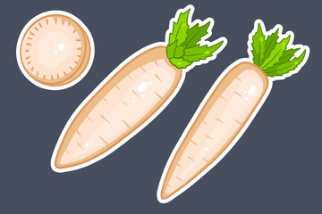 Daikon set. Fresh daikon and sliced wedges.