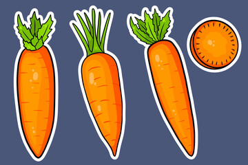 Carrot set. Fresh carrots and slices. In cartoon style stickers.
