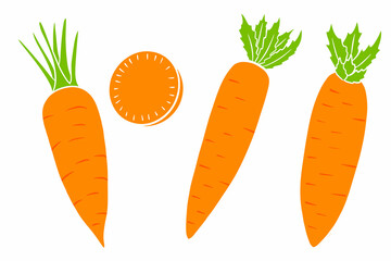 Carrot set. Fresh carrots and slices. In a cartoon style.