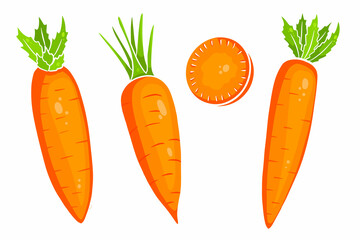 Carrot set. Fresh carrots and slices. In a cartoon style.
