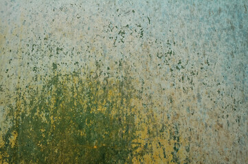 surface of painted wall