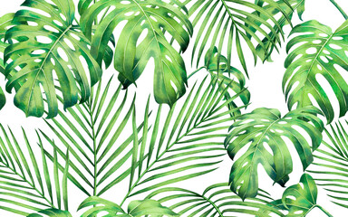 Watercolor painting tree palm ,monstera leaves seamless pattern on white background.Watercolor hand drawn illustration tropical exotic leaf prints for wallpaper,textile Hawaii aloha jungle pattern.