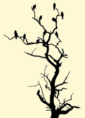 Birds spending time on tree branch. Tree and bird silhouette. The birds resting at vector drawing.