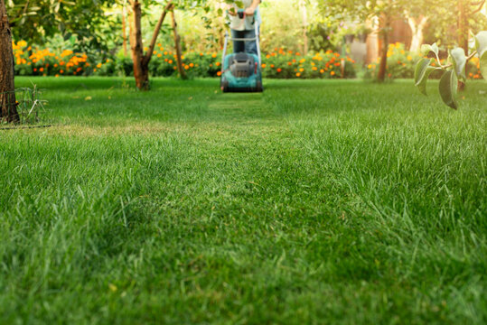 Man pushing lawn mower. Lawn care background, place for text