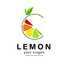 Abstract Logo color slice citrus fruits with circle line. Sign concept for juice companies.