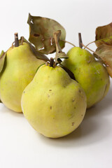 Membrillo fruto natural sobre fondo blanco, concepto comida tradicional, ingrediente.