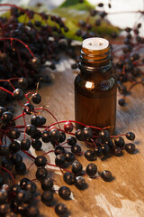 Elderberry essential oil (extract, tincture) with elderberry berries