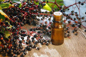 Elderberry essential oil (extract, tincture) with elderberry berries
