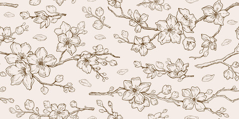 Sakura blossom pattern. Cherry flower seamless vector background. Floral japanese or chinese black line art. Spring vintage tree branch. Sketch outline illustration. Hand drawn seamless sakura pattern