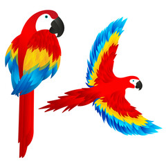 Two macaws vectors. One sitting and one flying © IngridItzel