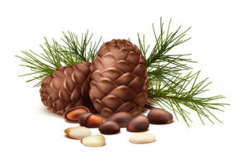  vector icon. Pine nuts with or without shell and fir tree and pine cone. Isolated on white background.