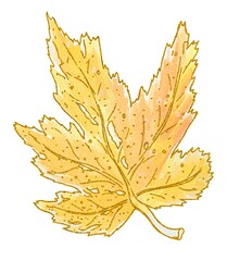 Yellow, maple, autumn leaf on white background, golden outline, watercolor gradient