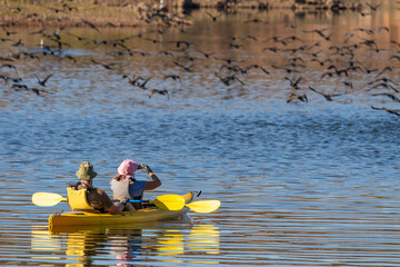 People in a kayak watching a flock of birds