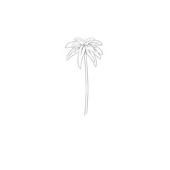 Palm tree poster isolated on white background. Modern palm trees summer backdrop for wallpaper, placard and ad. Palm tree for cover and banner. Creative art concept, vector illustration