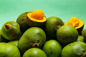 Alguns frutos maduros de pequi. Pequi, fruta do cerrado brasileiro, muito comum no estado de...