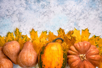 Pumpkin assorted on light blue background. Autumn postcard. Top view Flat lay